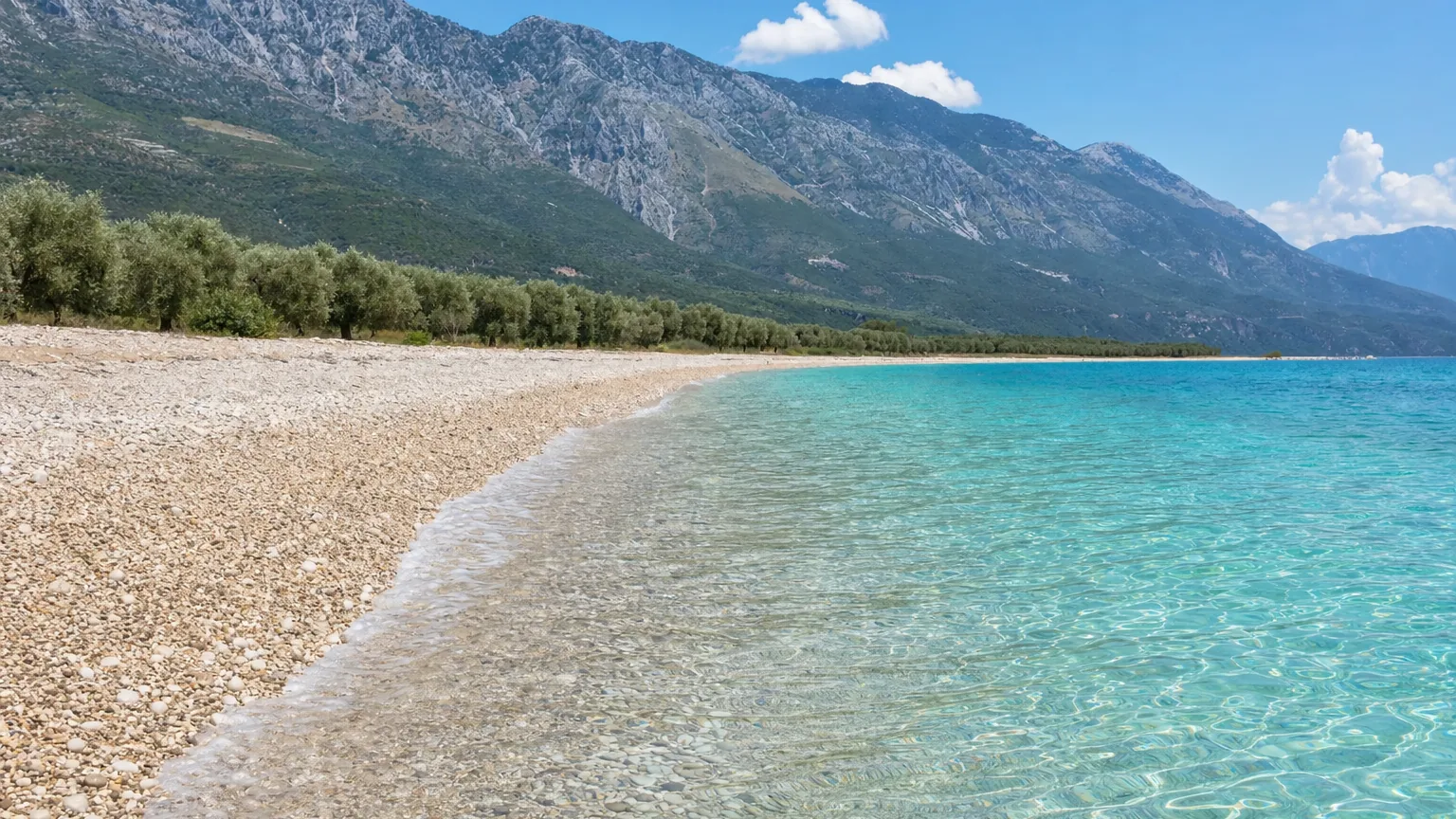 Palasa beach with olive groves and clear Ionian water